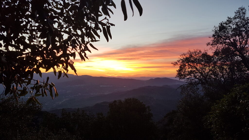 Ein Sonnenaufgang in Sri Lanka mit Bäumen und Hügeln