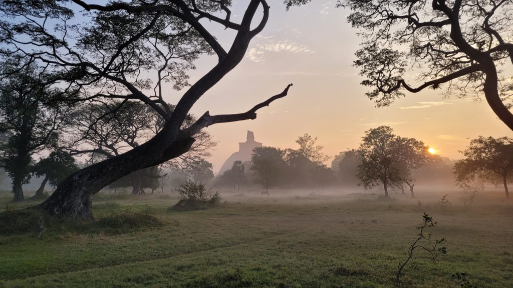 Landschaft in Sri Lanka mit Stupa