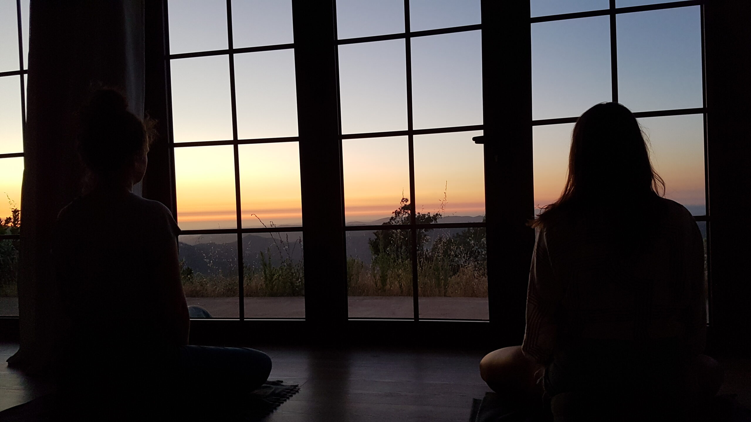Bild zeigt eine Person von hinten, wie sie bei Sonnenuntergang stilles Qi Gong in Köln übt