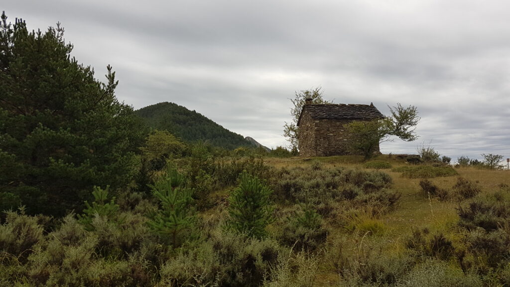 Eine Hütte steht auf einem Hügel.